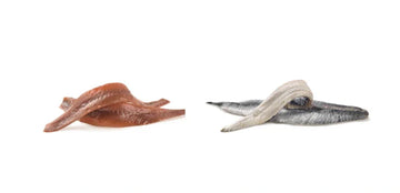 ¿Anchoas o boquerones? Descubre qué los hace tan diferentes