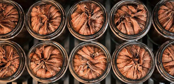 Beneficios de las anchoas para la salud