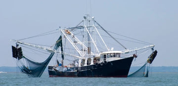 Así va a ser el calendario de pesca del mar Cantábrico en 2025