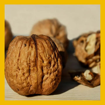 Los frutos secos alargan nuestra vida