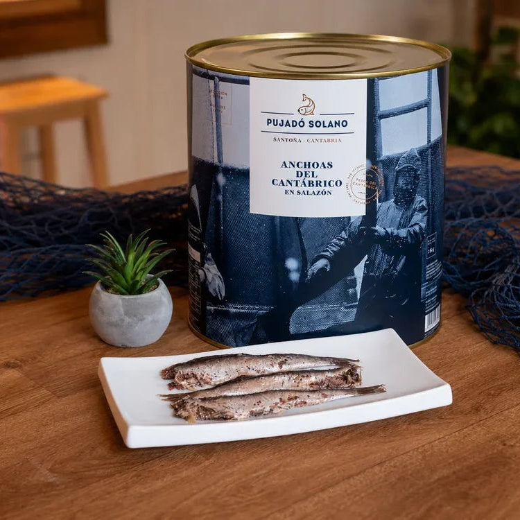 Lata de Anchoas del Cantábrico «Selección Extra» en Salazón (10 kg)