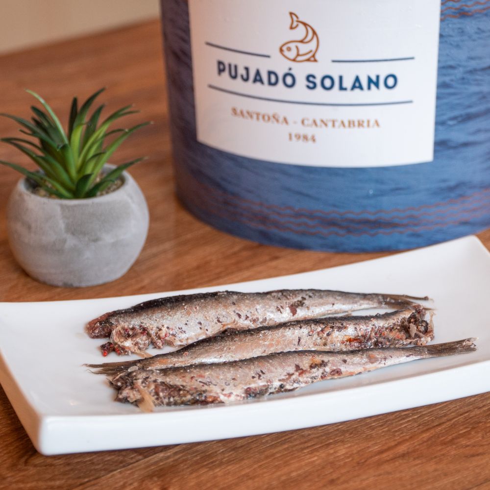 Lata de Anchoas del Cantábrico «Selección Extra» en Salazón (5 kg)