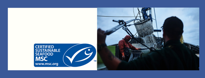 Certificacion Pesca Sostenible