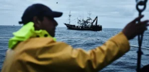 Pescador en barco de la costera del anchoa en Santoñ