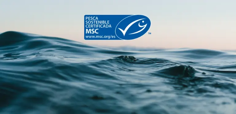 Imagen del mar y del logo de MSC