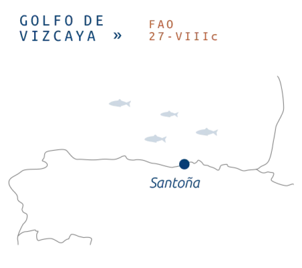 Bonito-Mapa-Pesca-esp