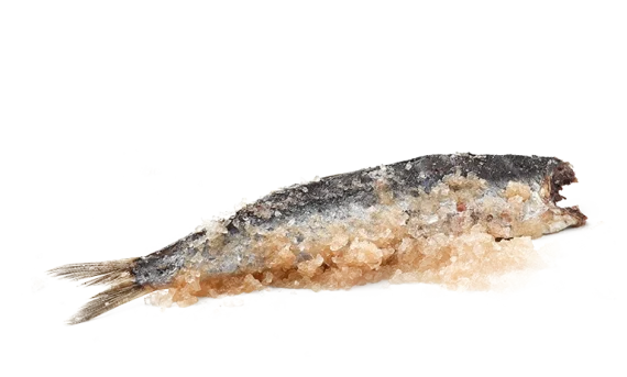 anchoa-cantabrico-en-sal